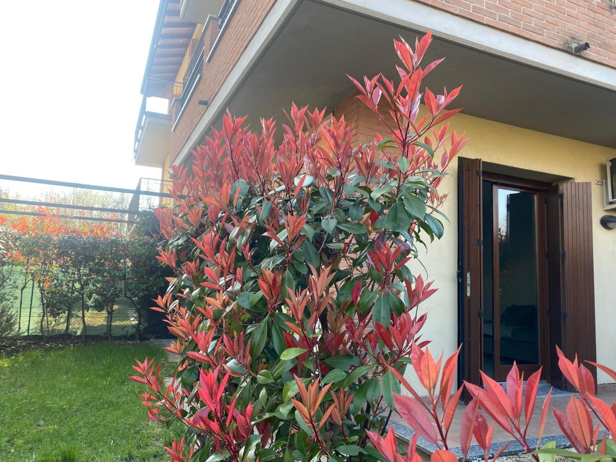Camille Garden Home - Free Park 科莫 外观 照片